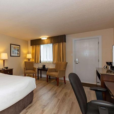 Quality Inn & Suites Matane Εξωτερικό φωτογραφία